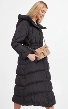 ��ǰ ������